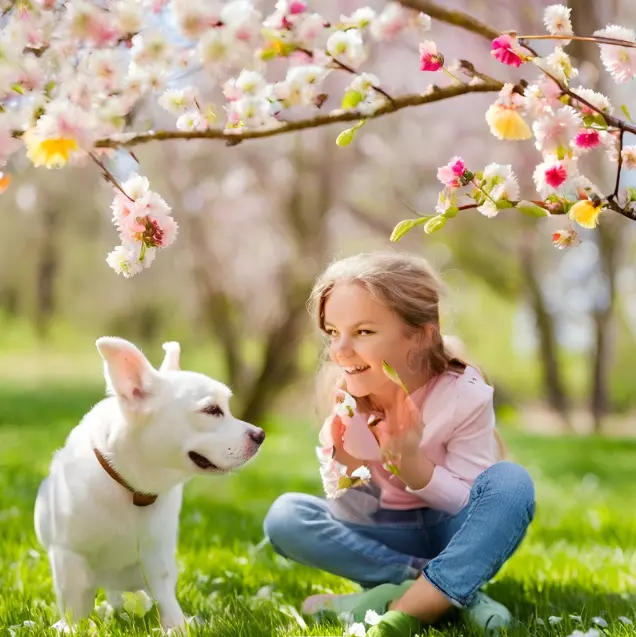 16 Engaging Spring Ideas to Enjoy with Your Kids and Pets